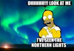 Northern Lights retard meme Homer Simpson