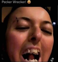 Pecker Wrecker