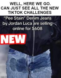Pee Stain Jeans for 600 bucks