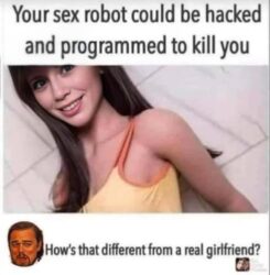 Sex Robot Hacked and Programmed to Kill You