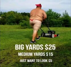 Sexy Lawn Mower