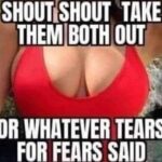 Shout Shout Take Them Both Out or Whatever Tears For Fears Said - Big Boobs meme