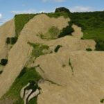 That's Nature Fuckin Illusion meme