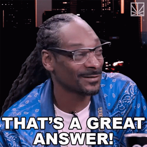 Thats A Great Answer Best Answer Snoop Dog GIF