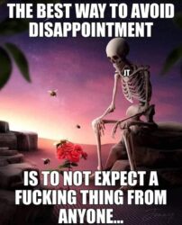 The Best Way To Avoid Disappointment Is To Not Expect A Fucking Thing From Anyone