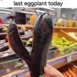 The Last Eggplant