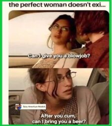The Perfect Woman Doesn't Exi... meme Blowjob & Beer