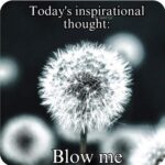 Today's Inspirational Thought - Blow Me