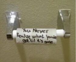 Toilet Wisdom - You Never Realize What You've Got Til It's Gone