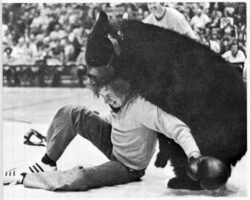 Victor the Wrestling Bear