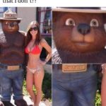 Well-Endowed Bear