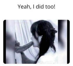 Blowjob Cat illusion meme