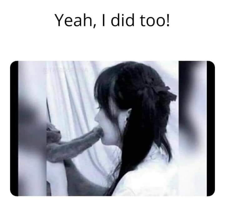 Blowjob Cat illusion meme