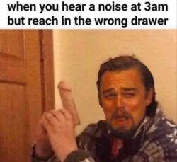 When You Hear A Noise at 3am But Reach In The Wrong Drawer