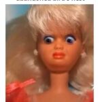 When he drops his pants and it looks like an abandoned bird's nest Barbie meme