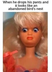 When he drops his pants and it looks like an abandoned bird's nest Barbie meme