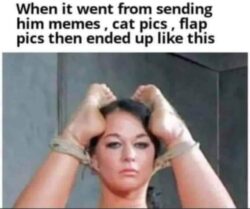 When it went from sending him memes cat pics flap pics then ended up like this (kinky bdsm bondage)