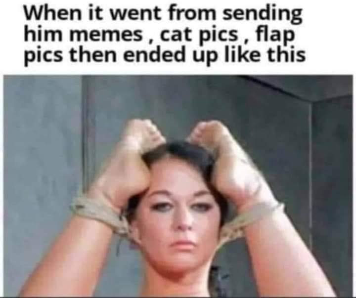 When it went from sending him memes cat pics flap pics then ended up like this (kinky bdsm bondage)