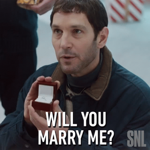 Will You Marry Me Paul Rudd GIF