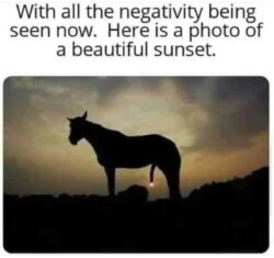With All The Negativity Being Seen Now - Here is a photo of a Beautiful Sunset