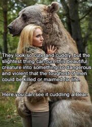 Woman and Bear Meme