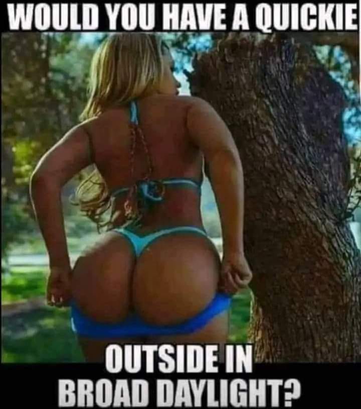 Would You Have A Quickie Outside In Broad Daylight meme