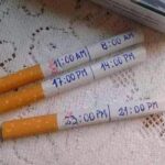 Cigarette Daily Portion Prep