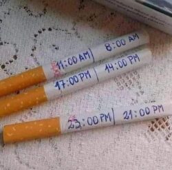 Cigarette Daily Portion Prep