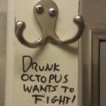 Drunk Octopus Wants To Fight meme