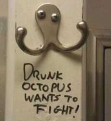 Drunk Octopus Wants To Fight meme