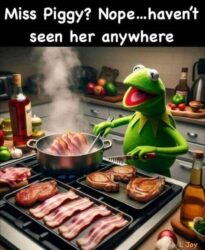 Haven't seen Miss Piggy anywhere