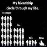 My friendship circle through my life - cat lover dog lover