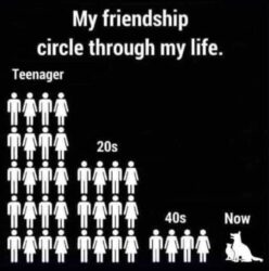 My friendship circle through my life - cat lover dog lover