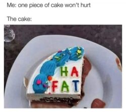 One piece Of Cake Won't Hurt - Ha Fat