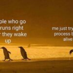 People who go on runs right after they wake up - Me just trying to process being alive
