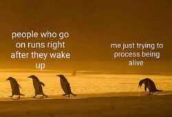 People who go on runs right after they wake up - Me just trying to process being alive