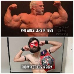 Pro Wrestlers in 1999 vs Pro Wrestlers in 2024
