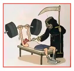 R.I.P. Mr Gym