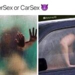 Shower Sex or Car Sex
