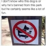 Smoking, Drinking, Skateboarding Dog Banned