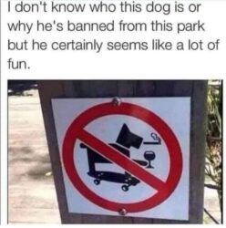 Smoking, Drinking, Skateboarding Dog Banned