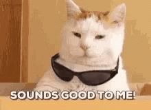 Sounds Good To Me Cat sunglasses GIF