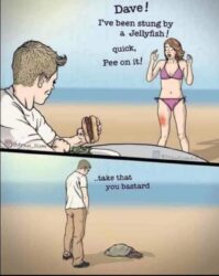 Stung by a Jellyfish - Pee on it