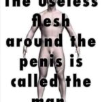 The useless flesh around the Penis is called the Man