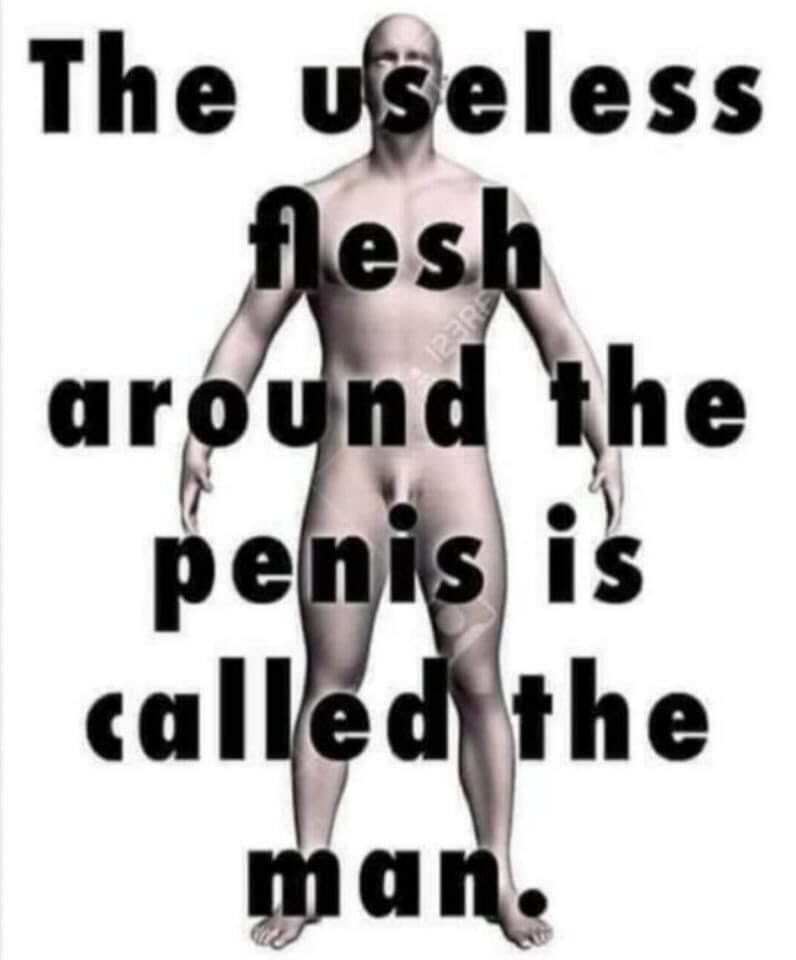 The useless flesh around the Penis is called the Man