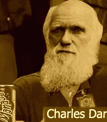 Thumbs Up Charles Darwin GIF