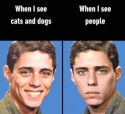When I see cats and dogs vs When I see people