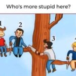 Who's More Stupid (4 people, 3 saws, 2 tree branchs)
