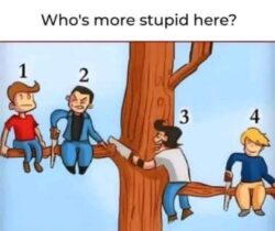 Who's More Stupid (4 people, 3 saws, 2 tree branchs)