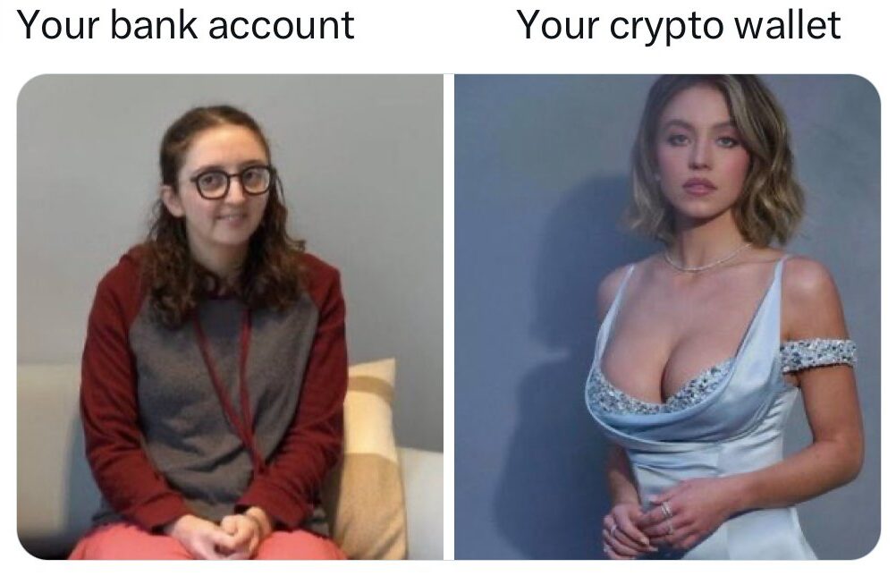 Your Bank Account vs Your Crypto Wallet meme